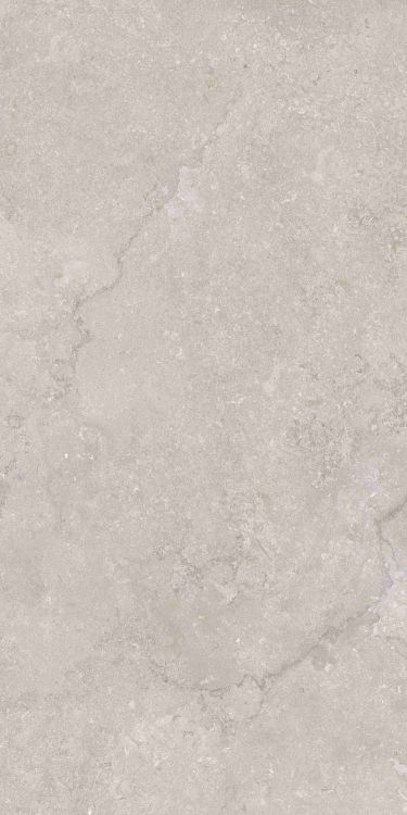 OL Port Land Stone Greige Matte 24 x 48
